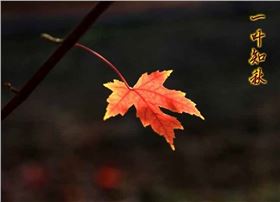 今日立秋‖深聯(lián)線路板告訴你秋天的那點事 今日立秋‖深聯(lián)線路板告訴你秋天的那點事