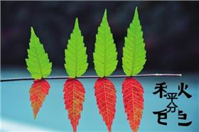 今日立秋‖深聯(lián)線路板告訴你秋天的那點事 今日立秋‖深聯(lián)線路板告訴你秋天的那點事