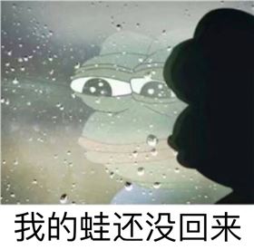 &ldquo;蛙兒子&rdquo;，整個(gè)電路板朋友圈都在等你回家呢