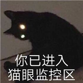 1669369420244.jpg 1669369420244.jpg