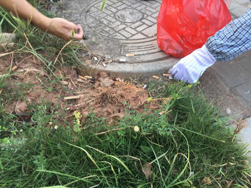 深聯(lián)PCB廠號召大家不要隨手丟垃圾，共同盡力守護我們的家園