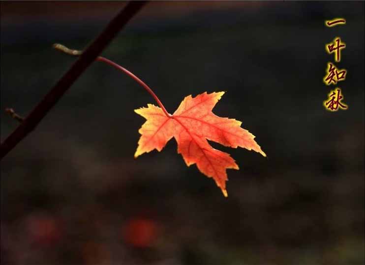 今日立秋‖深聯(lián)線(xiàn)路板告訴你秋天的那點(diǎn)事 今日立秋‖深聯(lián)線(xiàn)路板告訴你秋天的那點(diǎn)事