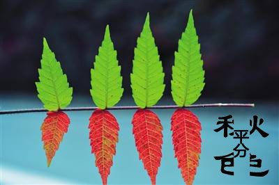 今日立秋‖深聯(lián)線(xiàn)路板告訴你秋天的那點(diǎn)事 今日立秋‖深聯(lián)線(xiàn)路板告訴你秋天的那點(diǎn)事